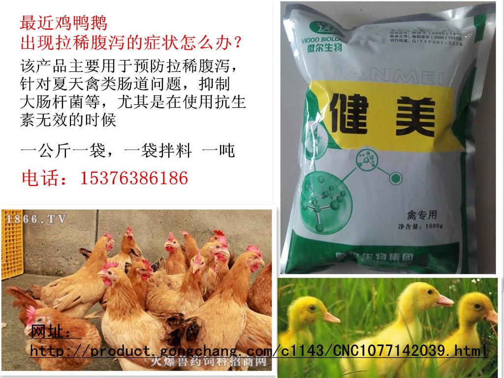 鸡饲料添加剂招代理治疗粪便有饲料残渣