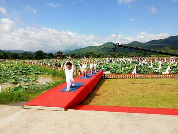 雷朋太阳镜批发价格_雷朋太阳镜低价促销