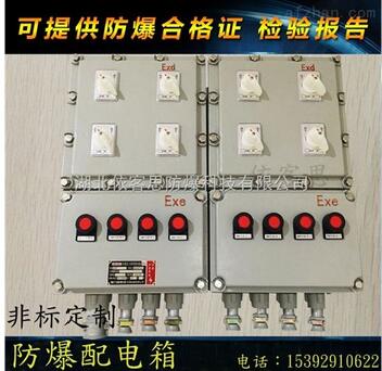 防爆电源检修箱