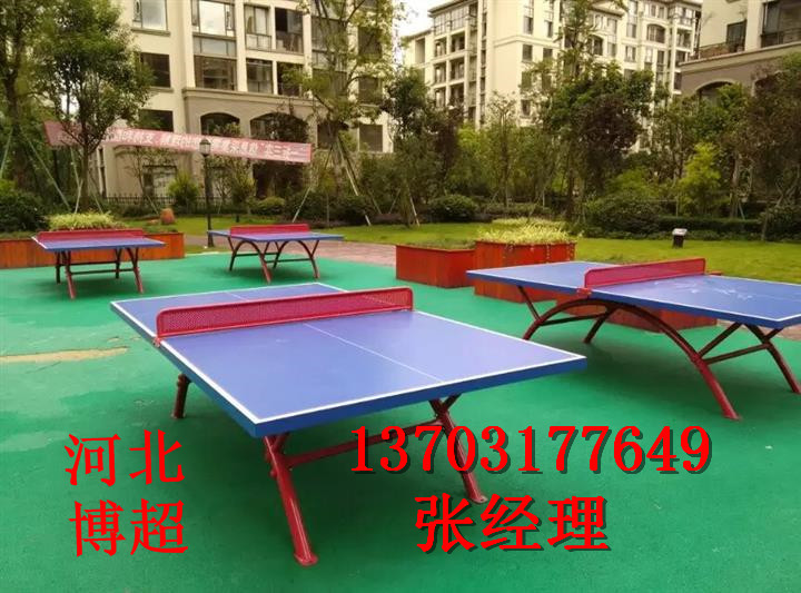 新国标乒乓球台生产厂家有限公司
