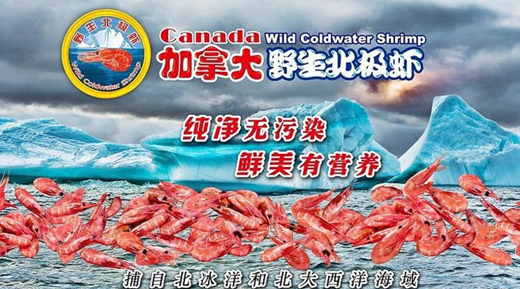 宁波上海北极甜虾进口清关代理甜虾资料有哪些