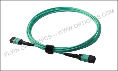 1M 12芯 MPO(母)多模OM3主干光纤跳线