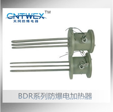  浙江乐清天网防爆现货供应BDR-系列防爆电加热器(IIB/IIC)