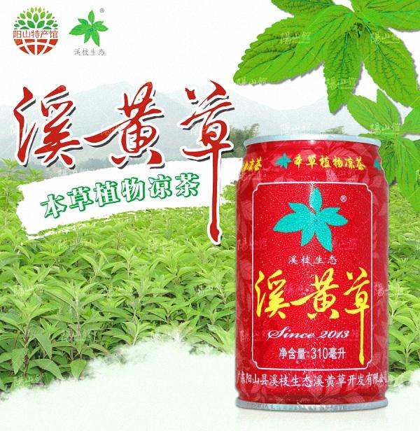 溪枝（XiZhi） 广东阳山溪枝溪黄草凉茶 310ml*12罐