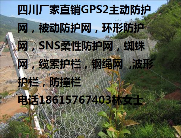 RX050被动防护网RXI100被动网厂家及安装价格