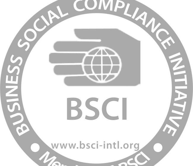 富阳淳安ISO9001认证验厂，杭州BSCI认证体系2013版标准
