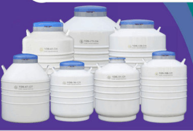 金凤液氮罐 生物贮存容器