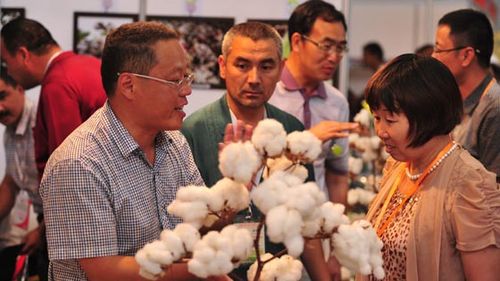 2018第九届中国新疆国际种子交易会