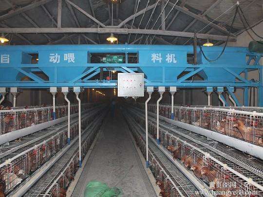 养殖供料机/龙门式上料机/养鸡自动喂料设备/养鸭喂料系统