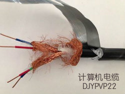 铠装信号电缆DJYP2VP2-22-2x2x1.0mm2