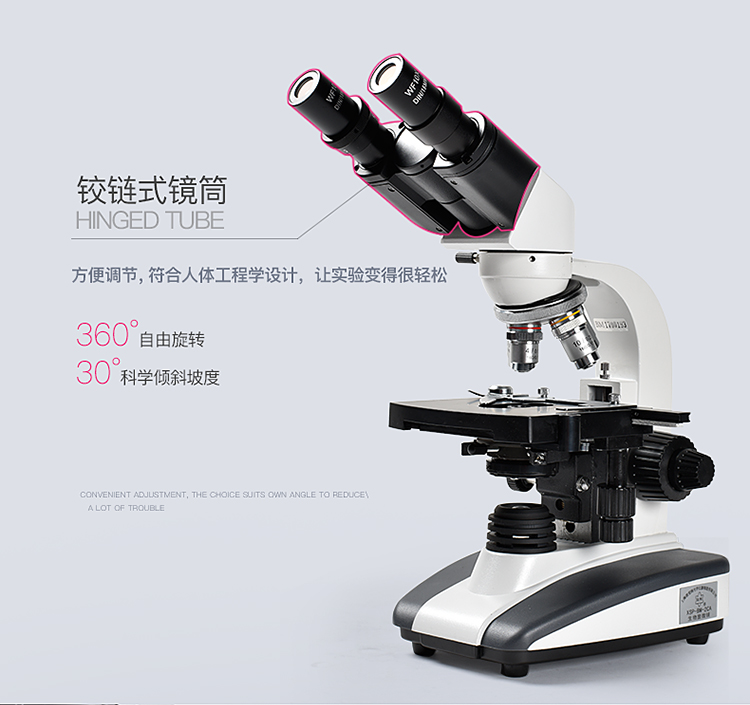 双目生物显微镜青岛彼爱姆XSP-BM-2C