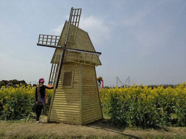 风车展风车节荷兰风车