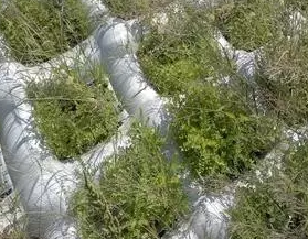 江河湖海护岸能手生态植草型土工模袋 宏祥厂家直销