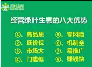 苏州绿叶集团公司加盟模式