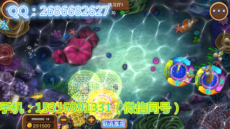 黑龙江哈尔滨手机捕鱼游戏开发华软助你把握璀璨年华
