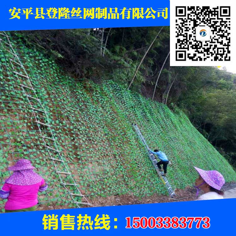 绿色钢塑格栅 绿色植物爬藤网 绿色护坡攀爬网