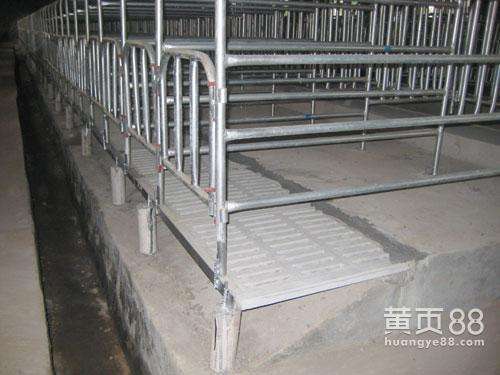 养猪设备母猪定位栏养殖设备