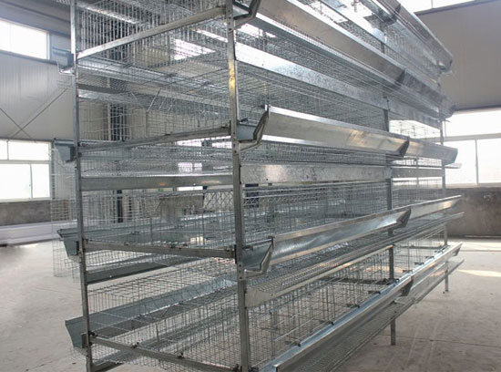 养鸡设备厂家/立体式蛋鸡笼/层叠式肉鸡笼/自动化养鸡设备