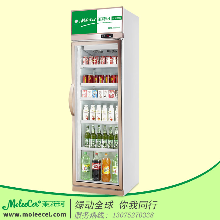 深圳冰柜LG-600J香槟色单门经济型冷藏展示柜冷柜品牌哪个好