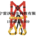 6 BAMBINO  657儿童安全带