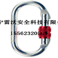 19 OVAL981O型安全钩