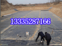 河南省HDPE土工膜销售//1.5mm沼气池专用橡胶模