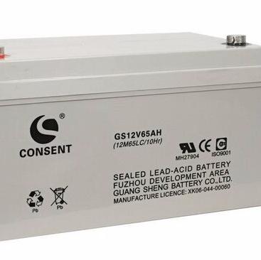 CONSENT光盛蓄电池GS12V50AH