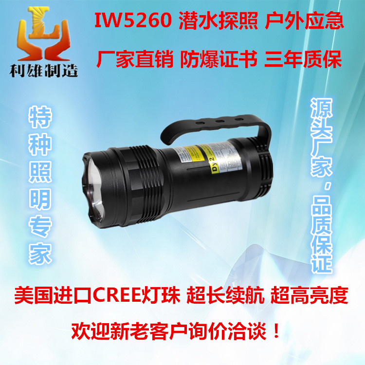 江苏利雄厂家直销 IW5260潜水疝气手提式防爆探照灯 led便携式固态强光工作灯