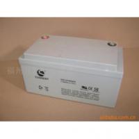 供应光盛蓄电池GS12V55AH价格山东
