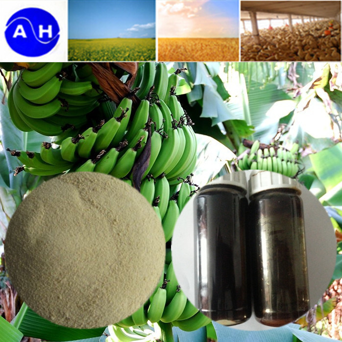 出口级肥料 氨基酸螯合钙硼 香蕉专用肥