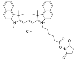 Cyanine3.5 NHS ester//Cy3.5 NHS ester分子量690.27近红外活