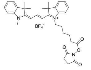 Cyanine3 NHS ester/CAS1032678-38-8/Cy3 NHS ester结构