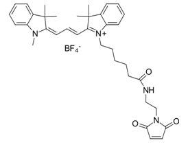 Cyanine3 maleimide/Cy3 maleimide马来酰亚胺修饰活体成像荧光染料