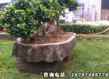 供青海互助仿木花箱和民和景观花盆