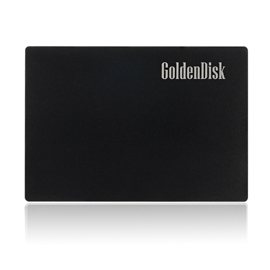 Goldendisk SATA固态硬盘 256G