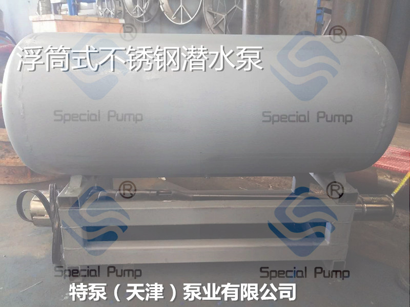 天津不锈钢浮筒式潜水泵