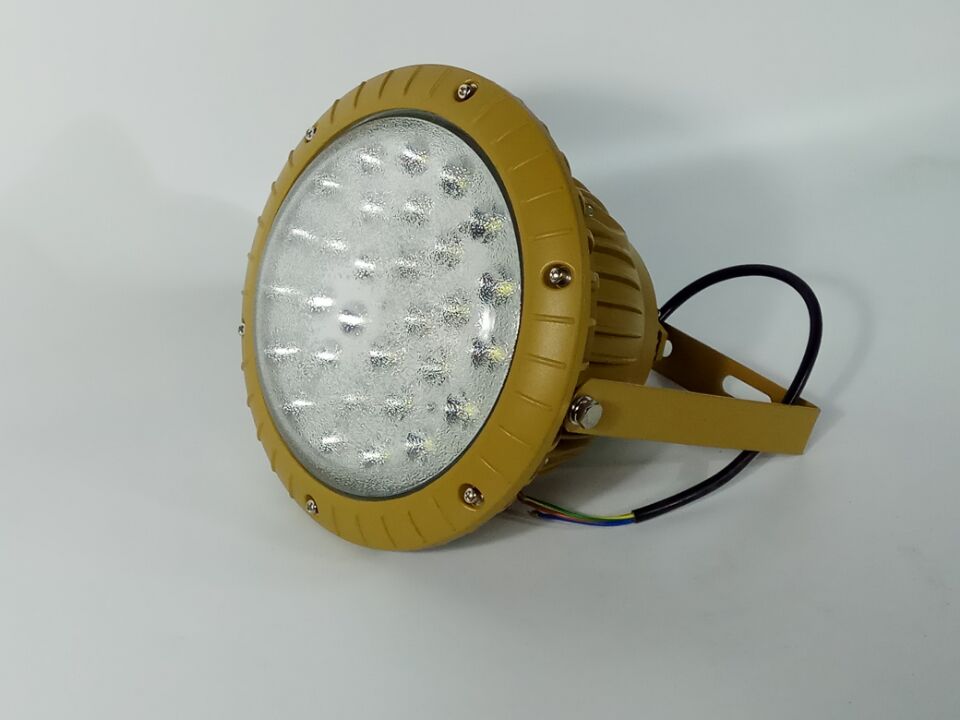 LED免维护防爆灯  LED防爆灯