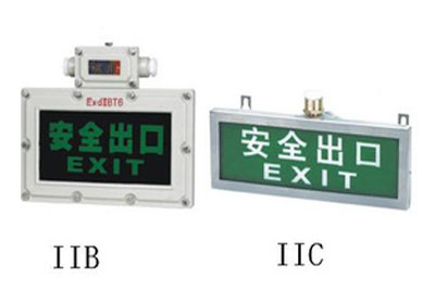 BYY-9/20防爆标志灯 IIC