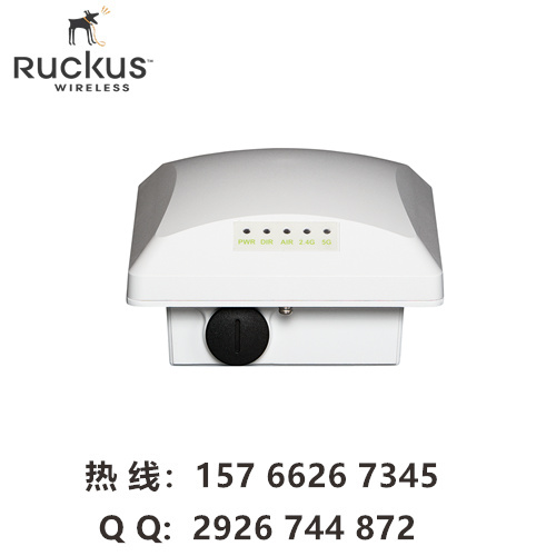 RuckusT300 优科T300 ruckus 901-T300-WW01 ZoneFlex T3