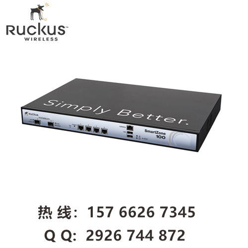 Ruckus SZ100控制器 优科P01-S104-CN00 ruckus SmartZone10