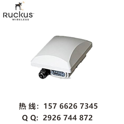 Ruckus901-P300-WW01 ZoneFlexP300 无线网桥 优科901-P300-W