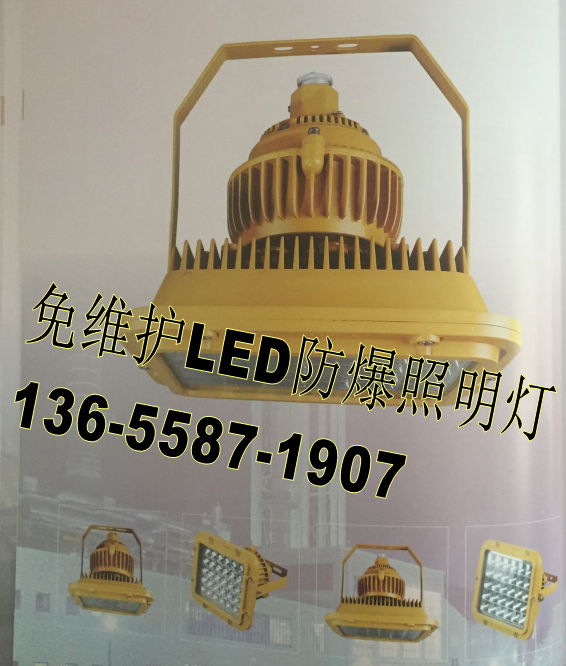 温州防爆泛光灯 LEDGB8040-40W 220V价格报价