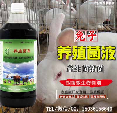 治兔子拉稀专用的微生物益生菌哪里有卖