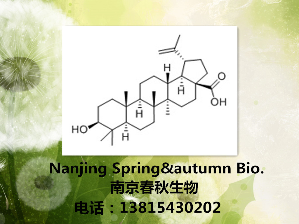 白桦脂酸,Betulic acid,CAS:472-15-1,白桦酯酸