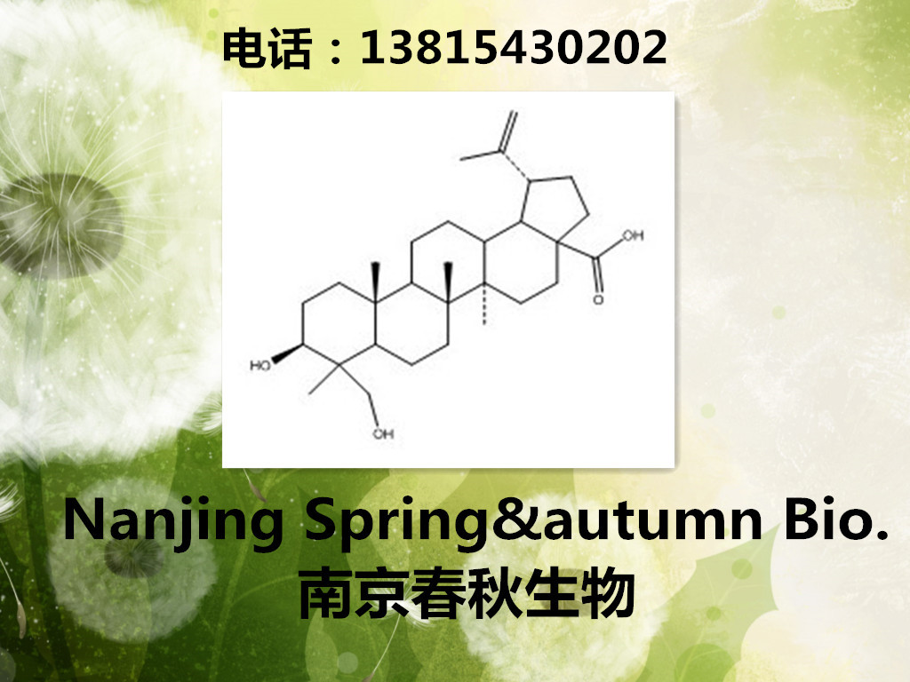 23-羟基白桦酸,CAS:85999-40-2,23-羟基桦木酸