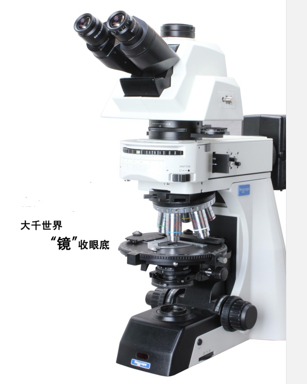 广东偏光显微镜NP900