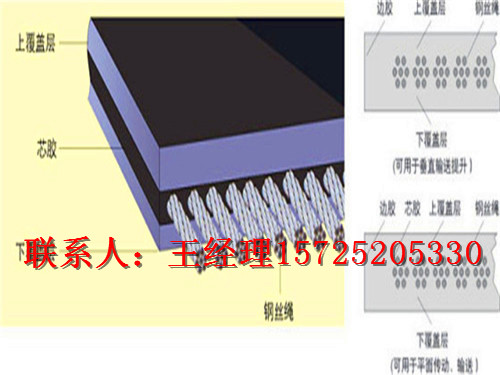 钢丝绳输送带厂家供应商家