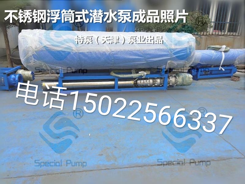 天津大流量浮筒式潜水泵