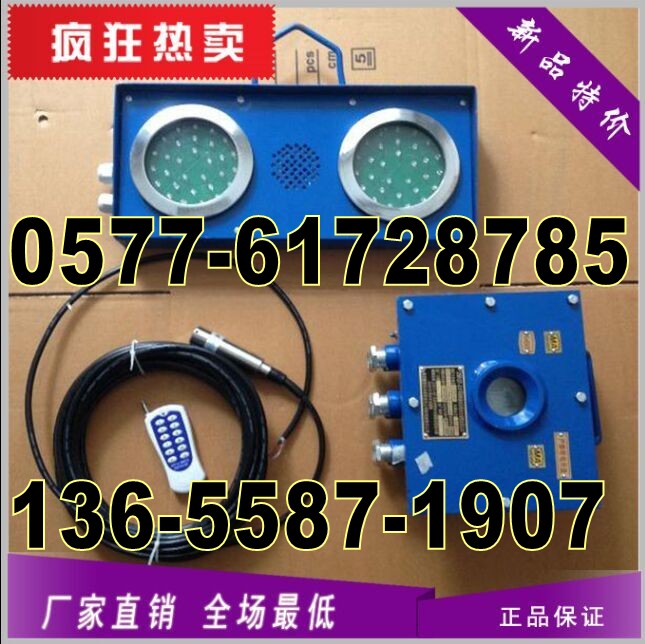 ZSB127型号-ZSB127-Z主机-ZSB127-X显示器-S水位自动报警器