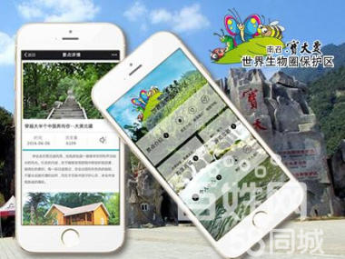 郑州网站建设app开发微信小程序开发那家好？